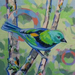 Green-headed Tanager