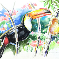 Toucan with Papaya