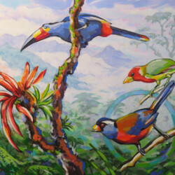 Cloud Forest